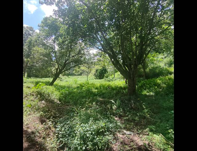 6,000M² VACANT LAND FOR SALE IN CLIFTON PARK